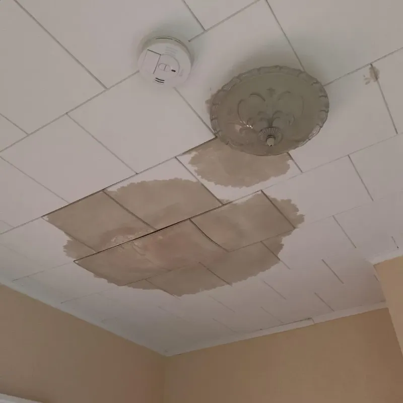 Ceiling Water Damage Repair in Douglas County, SD