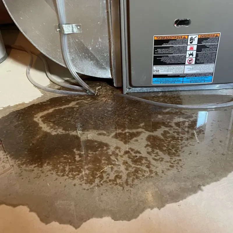 Pipe Burst and Leak Restoration in Douglas County, SD