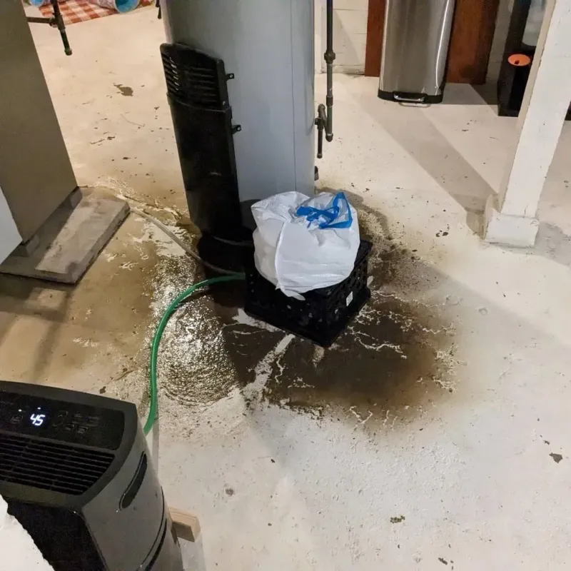 Sewage Backup Cleanup Service in Douglas County, SD